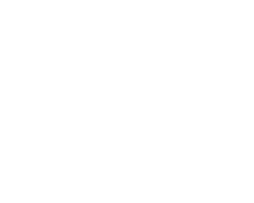 EAQ consulting logo